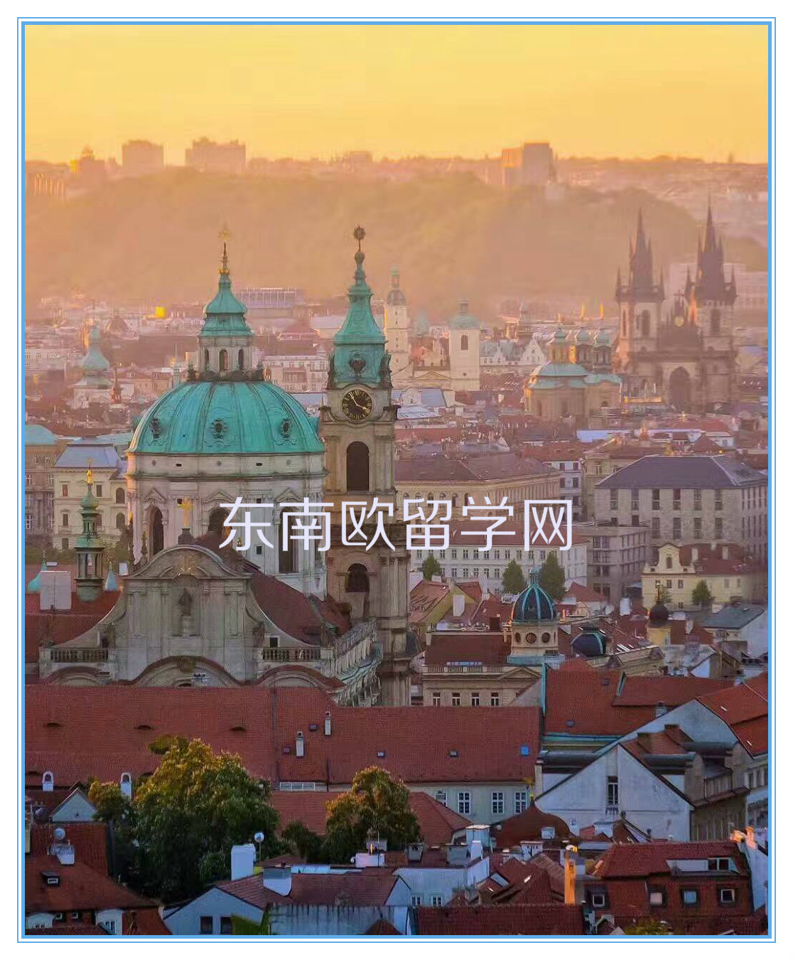 ŷѧ